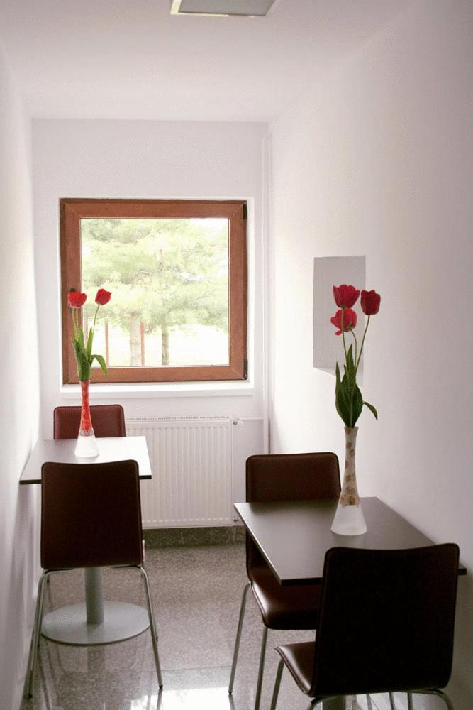 Hotel Timisoara Sannicolau Mare Sinnicolau Mare Luaran gambar